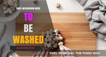 Should You Wash Mushrooms? Expert Tips for Cleaning Fungi