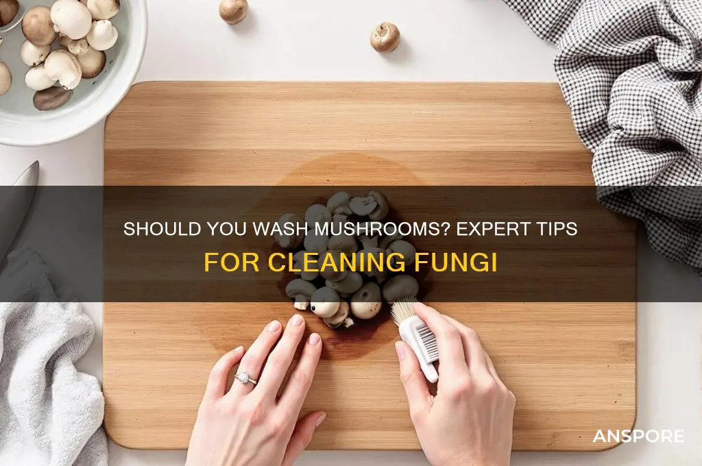 does mushroom need to be washed