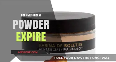Mushroom Powder: Does It Expire?
