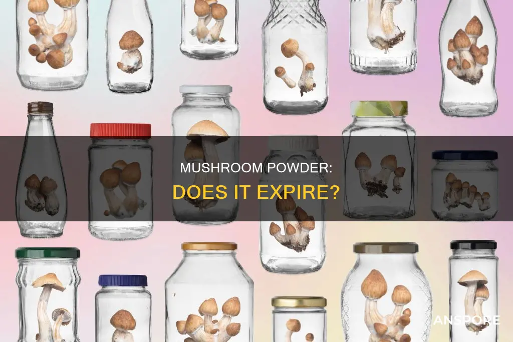 does mushroom powder expire