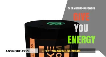 Mushroom Powder: Energy Boost or Myth?