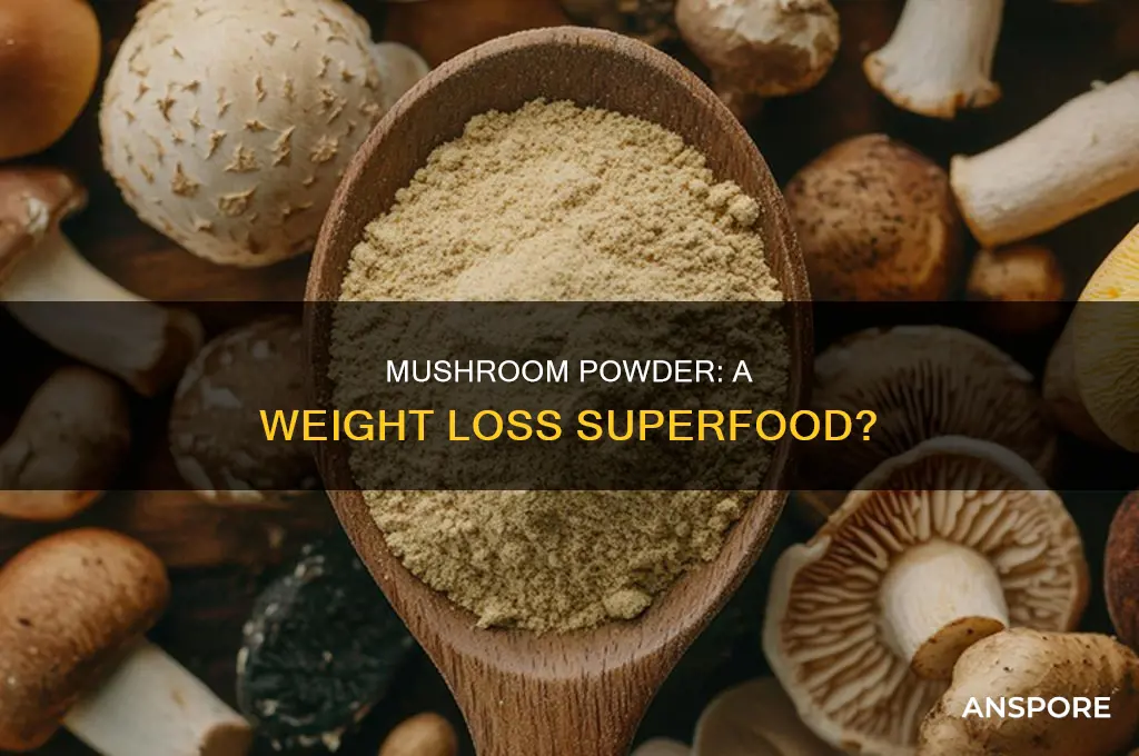 does mushroom powder help with weight loss