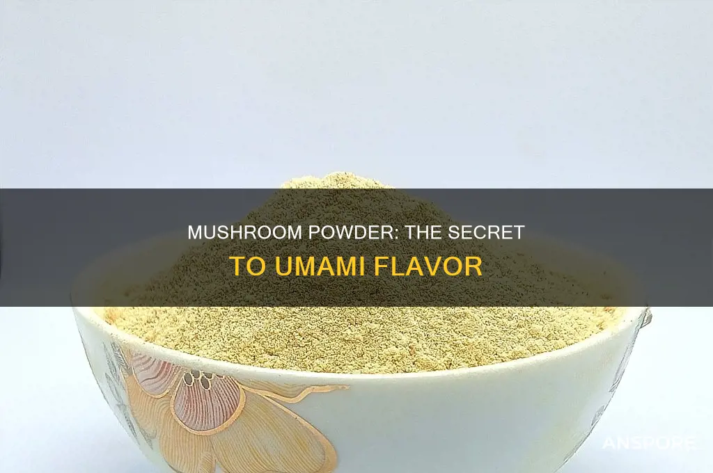 does mushroom powder seasoning add umami
