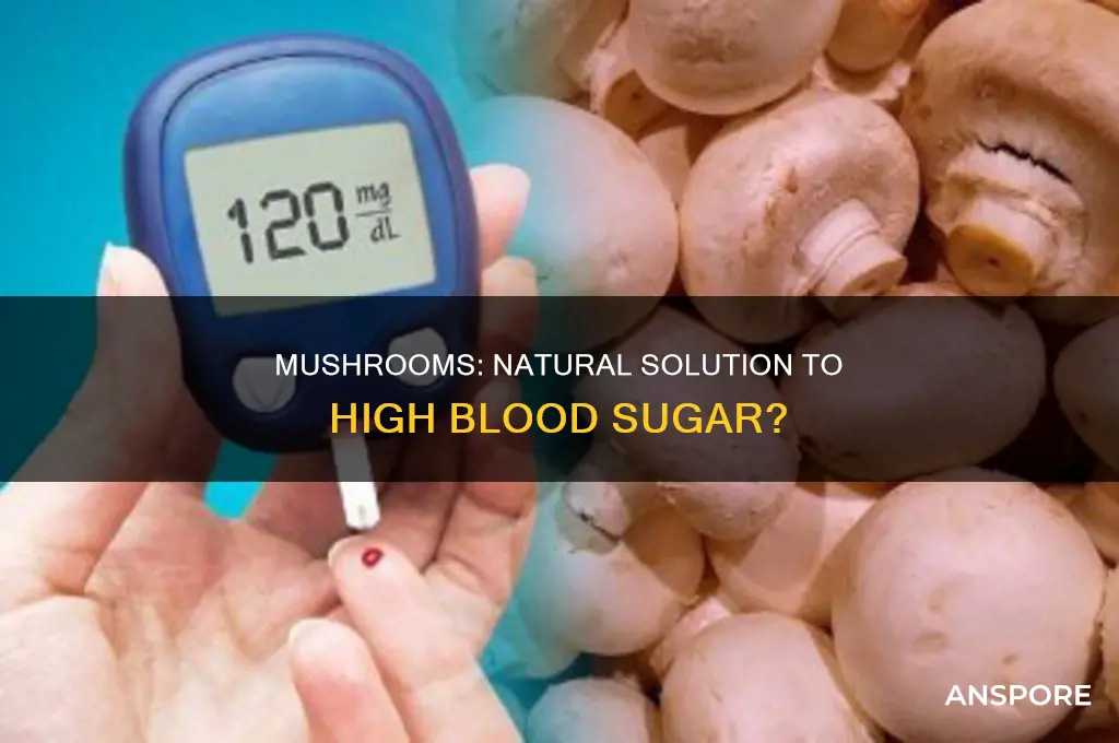 does mushroom raise high blood sugar