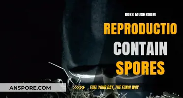 Mushroom Reproduction: Understanding the Role of Spores in Fungal Life Cycles