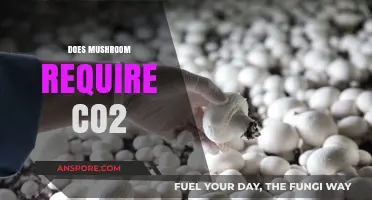 Mushroom Cultivation: CO2 Requirements