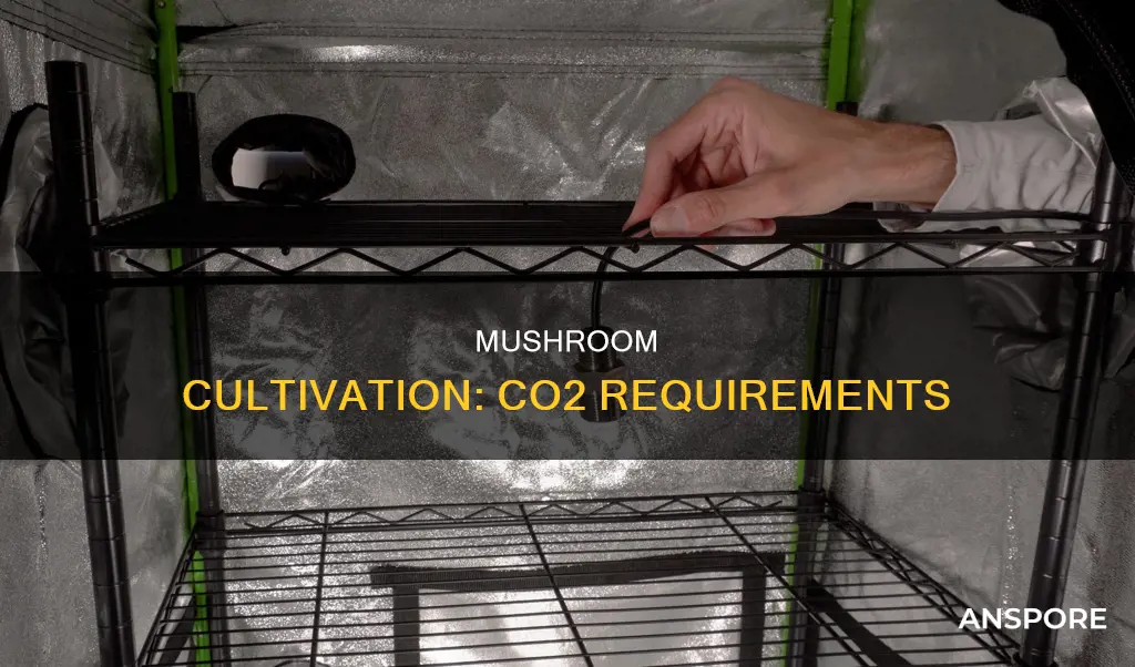 does mushroom require co2