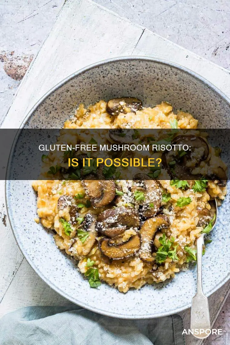 does mushroom risotto have gluten