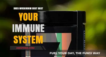 Mushroom Roots: Supercharging Your Immune System