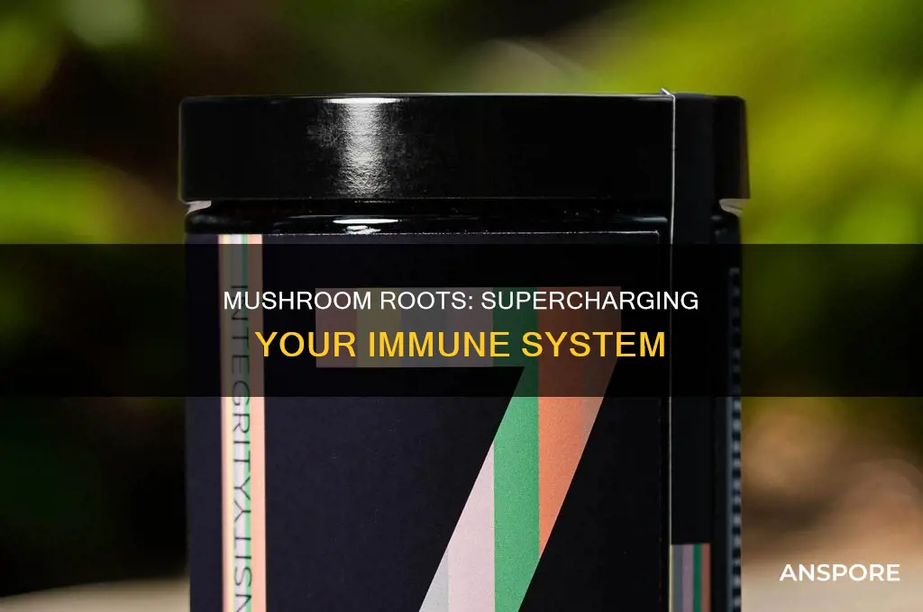 does mushroom root bost your immune system