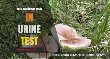 Mushroom Toxins: Urine Test Detection