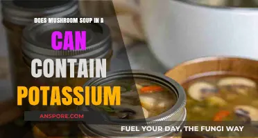 Does Canned Mushroom Soup Contain Potassium? A Nutritional Breakdown
