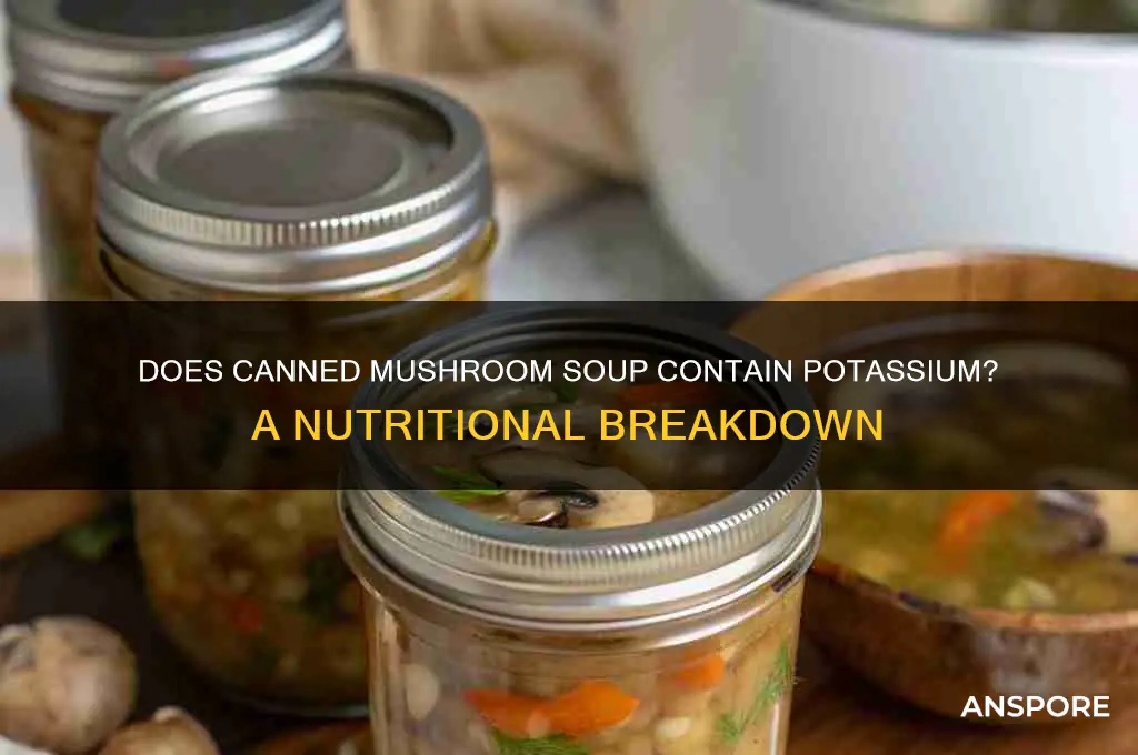 does mushroom soup in a can contain potassium