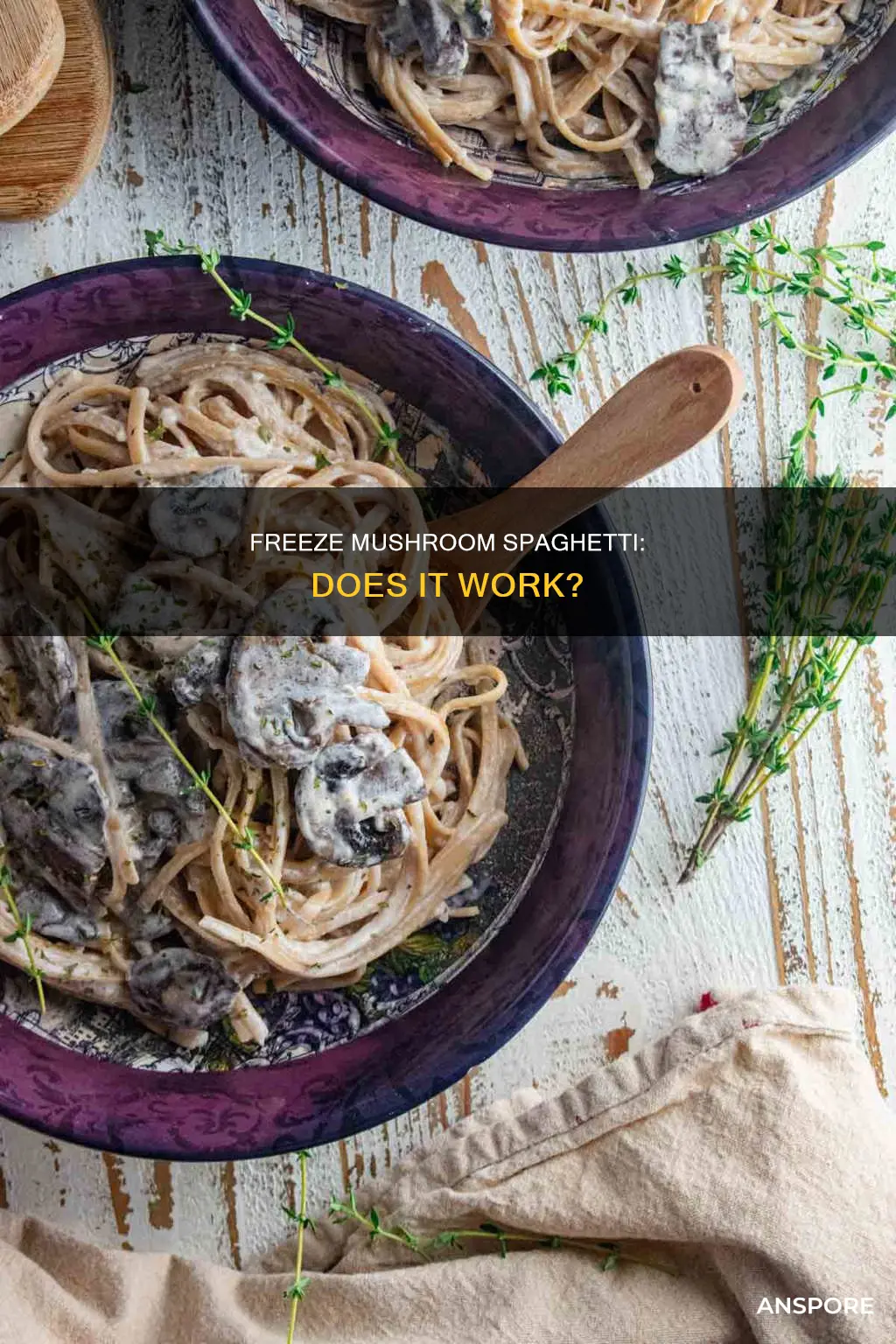 does mushroom spaghetti sauce freezing