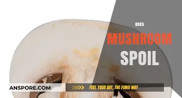 Mushroom's Spoilage: How Long Do They Last?
