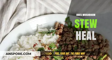 Mushroom Stew: Healing Power or Myth?