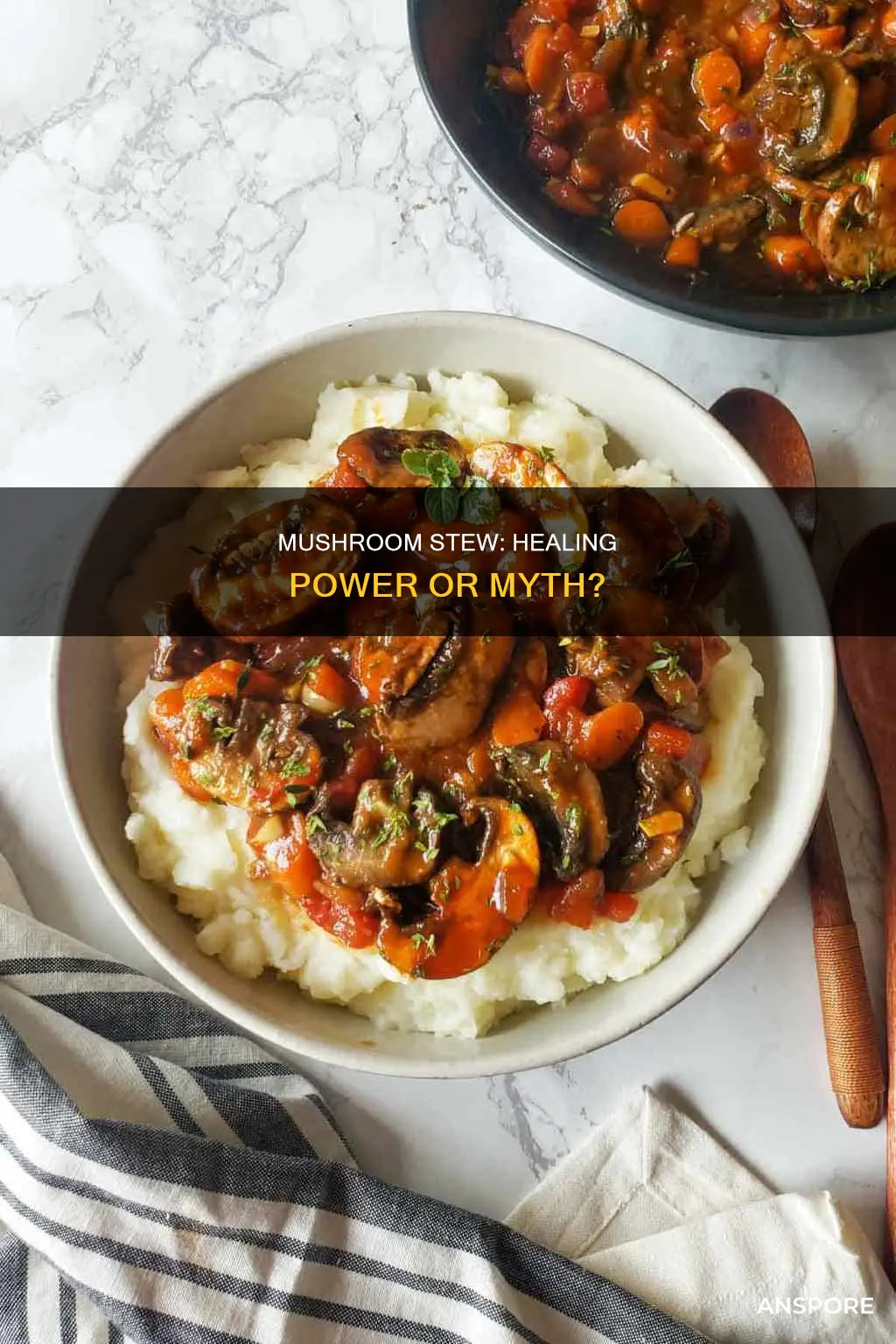 does mushroom stew heal