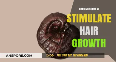 Mushroom Power: Hair Growth Stimulation