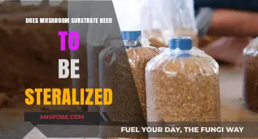 Mushroom Substrate Sterilization: Is It Necessary?