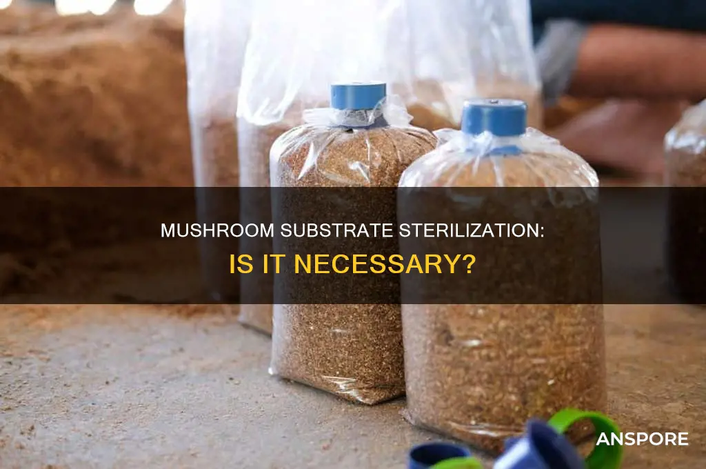 does mushroom substrate need to be steralized