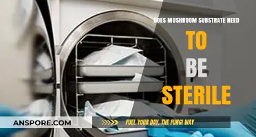 Mushroom Substrate Sterility: Is It Necessary?