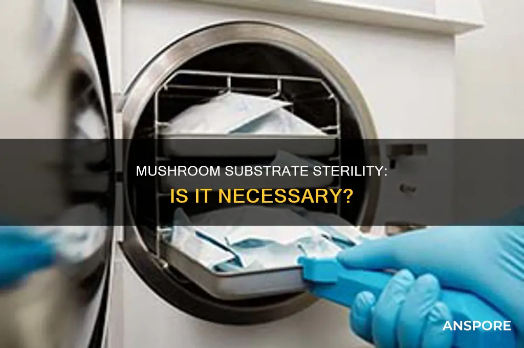 does mushroom substrate need to be sterile