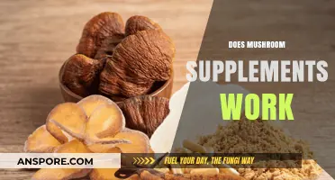 Mushroom Supplements: Do They Work?