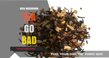 Does Mushroom Tea Spoil? Shelf Life and Storage Tips Explained