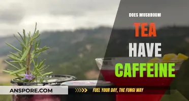 Mushroom Tea: Caffeine or Not?