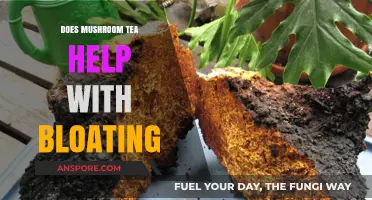 Mushroom Tea: A Natural Remedy for Bloating?