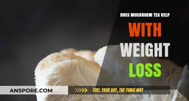 Mushroom Tea: Weight Loss Wonder Brew?