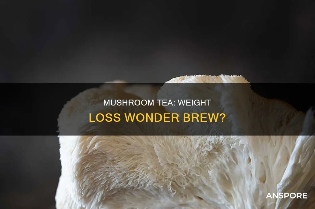 does mushroom tea help with weight loss