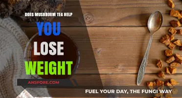 Mushroom Tea for Weight Loss: Fact or Fiction?