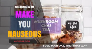 Mushroom Tea Nausea: Causes, Prevention, and Safe Consumption Tips