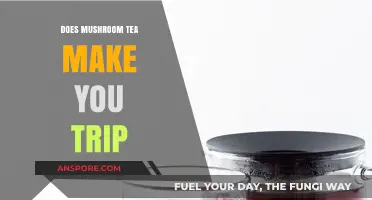 Exploring Mushroom Tea: Does It Induce Psychedelic Trips?