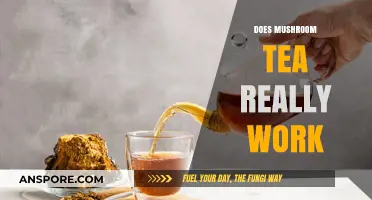 Mushroom Tea: Superfood or Super-hype?
