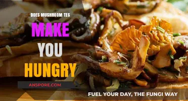 Does Mushroom Tea Increase Appetite? Exploring the Hunger Myth