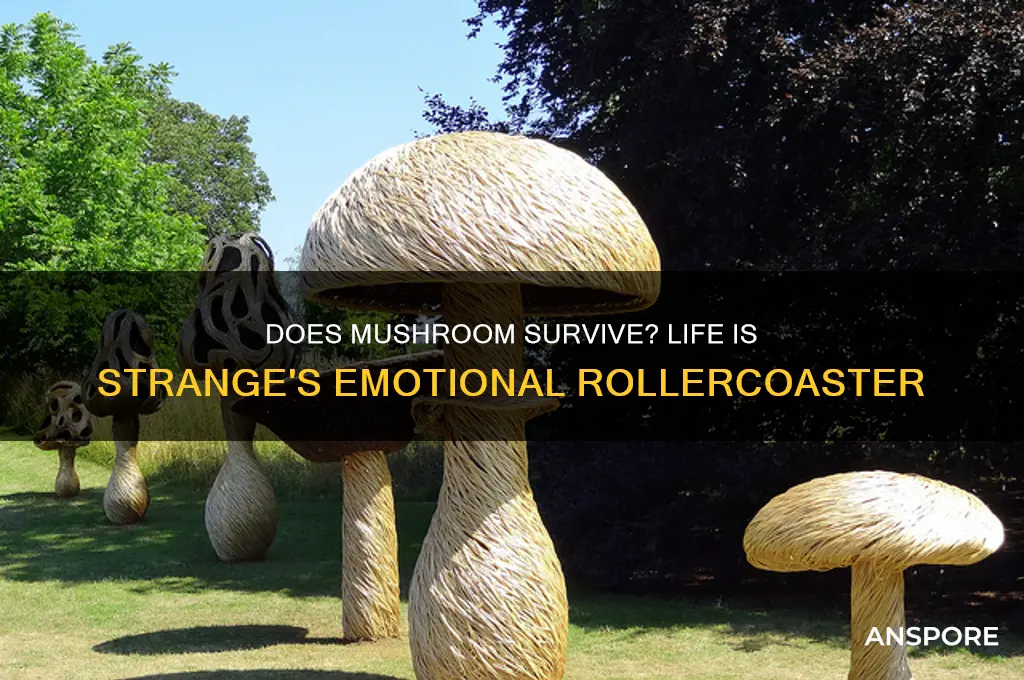 does mushroom the puppy dies in life is strange