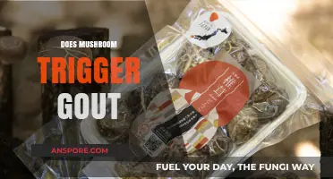 Mushroom Mystery: Gout Trigger or Healthy Treat?