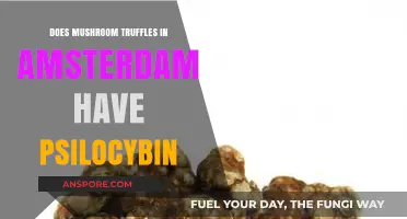 Amsterdam's Mushroom Truffles: A Psilocybin Experience