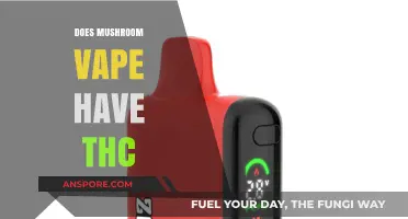 Vaping Mushrooms: THC or Not?
