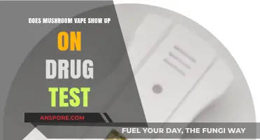 Mushroom Vaping: Will It Show Up on a Drug Test?