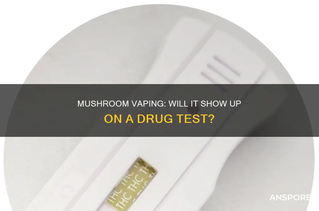 does mushroom vape show up on drug test