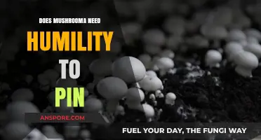 How Humidity Affects Mushroom Pinning