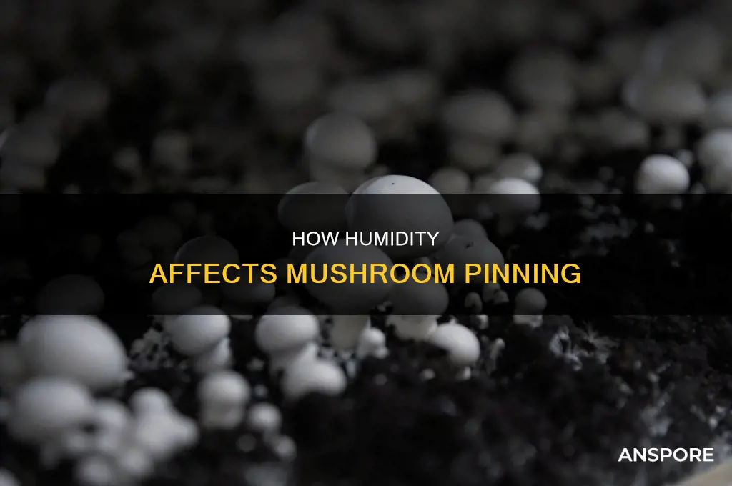 does mushrooma need humility to pin