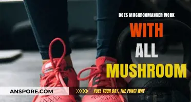 Mushroomancer: Universal Mushroom Benefits or Specificity?