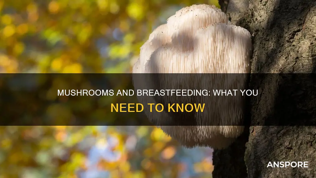 does mushrooms affect breastfeeding