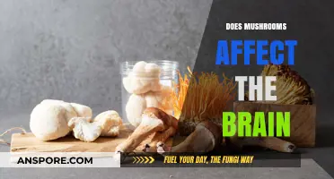 Mushrooms: Brain Boosters or Busters?