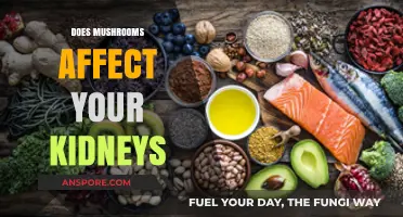 Mushrooms and Kidney Health: What You Need to Know