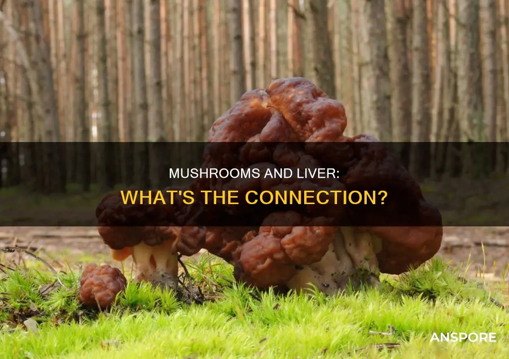 does mushrooms affect your liver